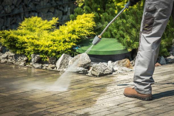 Best Pre-Holiday Cleaning  in Loma Ri, CA